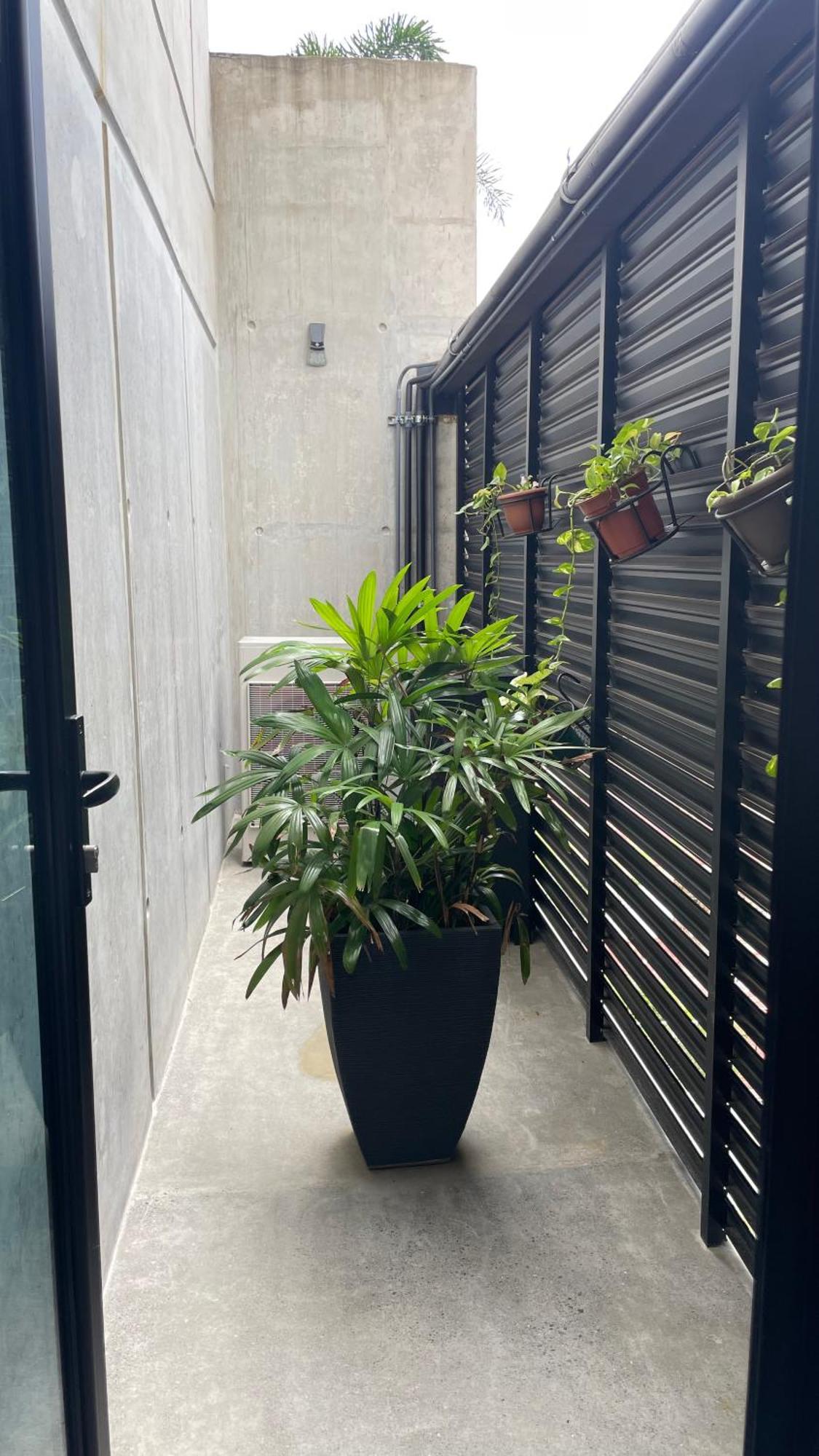 Cozy Apartment With Terrace, Sj Cosmopolitan Tower #402 San José Exterior foto